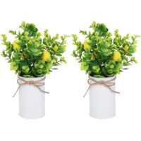 Potted Plant Artificial Lemon Tree Miniature Bonsai Iron Pot Decor for Kitchen Table Home Gift