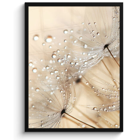 AFFICHE ENCADRÉE Pissenlit - Abstrait - Nature - Beige Tableau Décoration Murale 60x80
