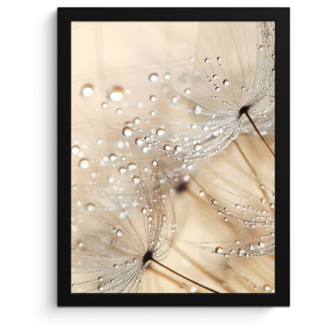 AFFICHE ENCADRÉE Pissenlit - Abstrait - Nature - Beige Décoration Murale 30x40