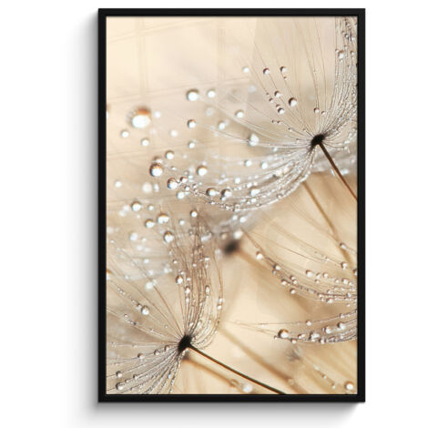 AFFICHE ENCADRÉE Pissenlit - Abstrait - Nature - Beige Decoration Murale Peinture 80x120
