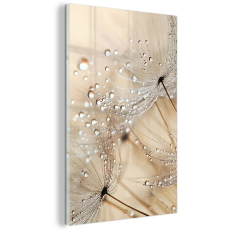 TABLEAU EN PLEXIGLAS Pissenlit - Abstrait - Nature - Beige Tableau Moderne 60x90