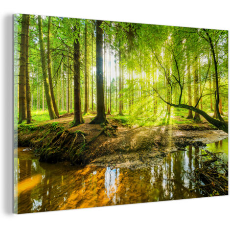 TABLEAU EN PLEXIGLAS Forêt - Paysage - Eau - Arbres - Soleil - Vert - Nature Décoration Salon 90x60