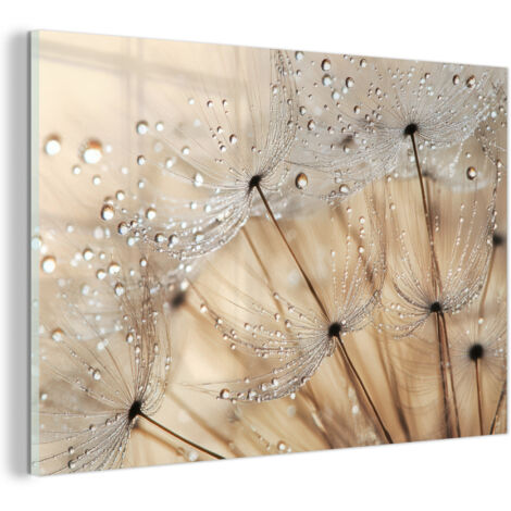 TABLEAU EN PLEXIGLAS Pissenlit - Abstrait - Nature - Beige Tableau Décoration Murale 60x40