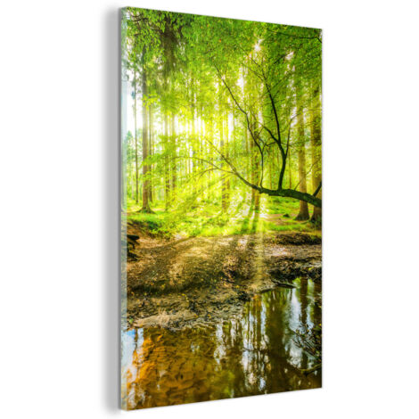 TABLEAU EN PLEXIGLAS Forêt - Paysage - Eau - Arbres - Soleil - Vert - Nature Tableau Moderne 60x90