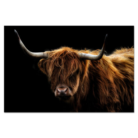 CRÉDENCE DE CUISINE Highlander écossais - Cornes - Noir - Animaux - Nature - Sauvage - Vache 70x50 (1/5)