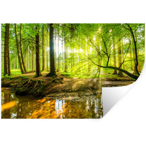 STICKER MURAL Forêt - Paysage - Eau - Arbres - Soleil - Vert - Nature 120x80 cm