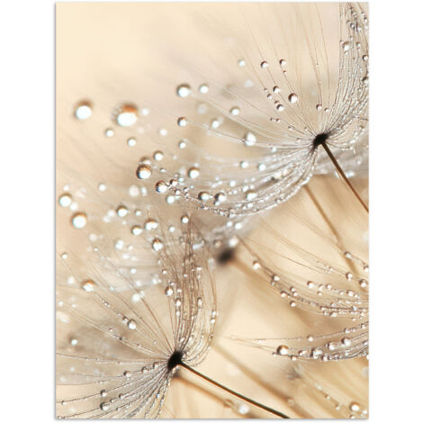 AFFICHE Pissenlit - Abstrait - Nature - Beige Décoration Chambre 30x40 cm