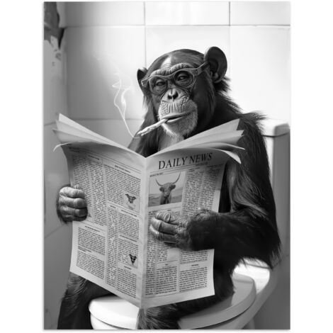 AFFICHE Singe - WC - Journal - Noir et blanc - Humour Décoration Chambre 30x40 cm