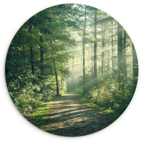 LE TABLEAU Forêt - Chemin - Soleil - Arbres - Vert - Nature Tableau Décoration Murale 30x30 cm (1/5)