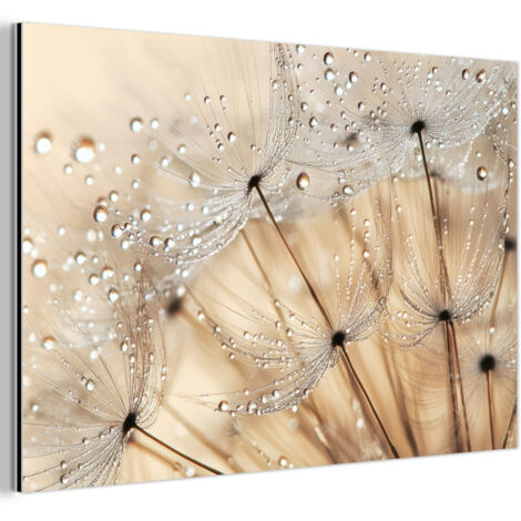 TABLEAU EN MÉTAL Pissenlit - Abstrait - Nature - Beige Tableau Décoration Murale 60x40 (1/5)