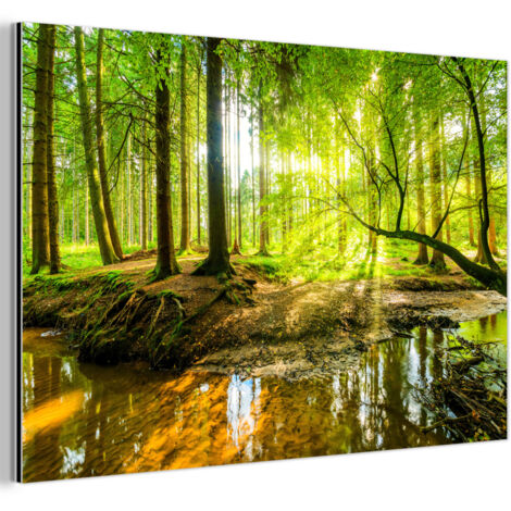 TABLEAU EN MÉTAL Forêt - Paysage - Eau - Arbres - Soleil - Vert - Nature Tableau Décoration Murale 60x40 (1/5)