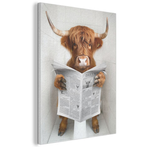 TABLEAU ACOUSTIQUE Scottish Highlander - Animal - Journal - Toilette Art Muraux Décoratif 60x80 cm