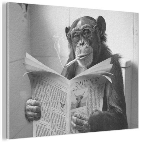 TABLEAU ACOUSTIQUE Singe - WC - Journal - Noir et blanc - Humour Décoration Murale Feutre 100x70 cm