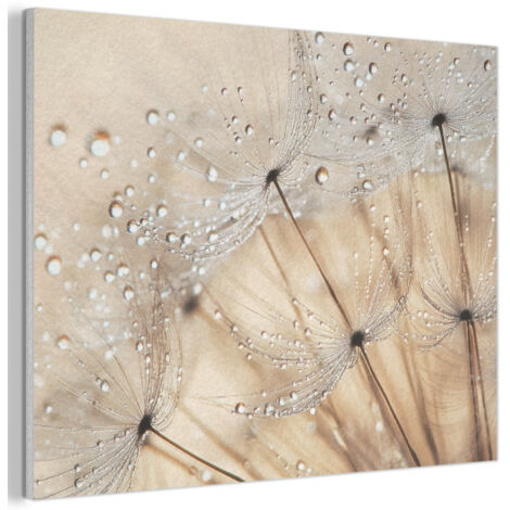 TABLEAU ACOUSTIQUE Pissenlit - Abstrait - Nature - Beige Décoration Murale Feutre 100x70 cm