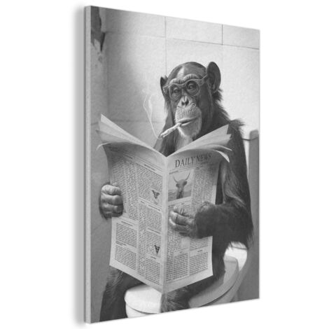 TABLEAU ACOUSTIQUE Singe - WC - Journal - Noir et blanc - Humour Décoration Maison 70x100 cm