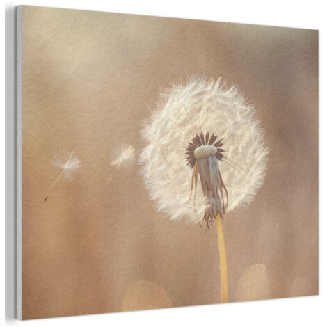 TABLEAU ACOUSTIQUE Pissenlit - Beige - Nature - Fleur Panneau Insonorisant 80x60 cm (1/5)