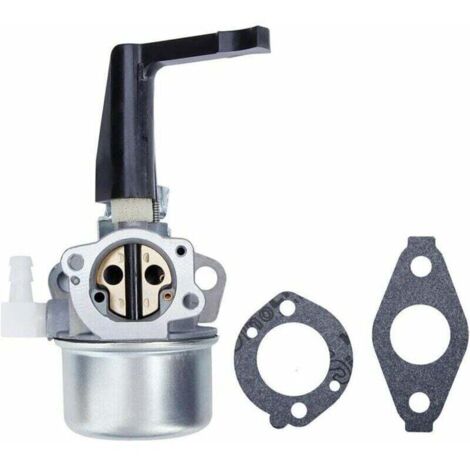 696065 697422 Carburateur avec joint de montage adapté pour Briggs & Stratton 110402 110412 215369 Moteur de motoculteur Carb Rototiller Troy Générateur Intek Moteur 696065 697422 696065 697422 (1/4)