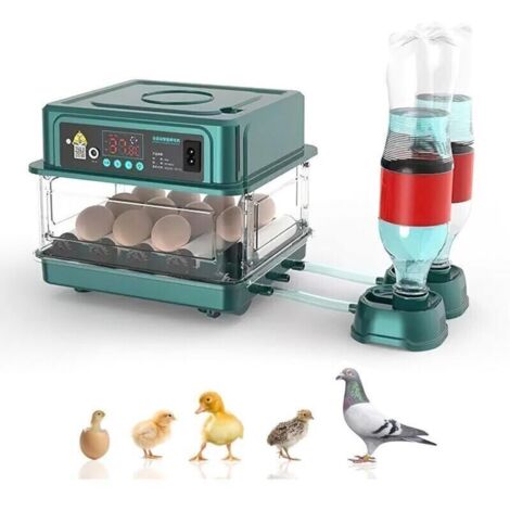Couveuse Oeuf Automatique,avec Surveillance de l'humidité,Retournement Automatique des Œufs,Ajout Automatique d'eau et Éclairage des Œufs,pour Éclosion de Poulet,Canards,Caille (12 Oeufs)