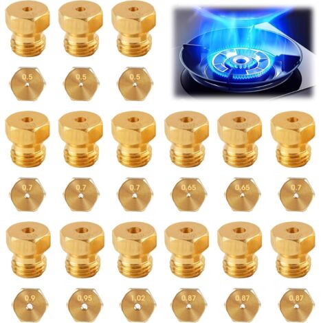 15 Pièces Gicleur Gaz Butane Universel Kit d’Injecteurs pour Conversion GPL Propane, Cuisinière et Plaque de Cuisson, Bouteille de Gaz Brûleur 0.5-0.65-0.7-0.80-0.87-0.90-0.95-1.02 mm