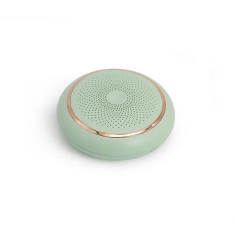 Small Plug-in Air Purifier, Air Sanitizer for Small Room Wall, Freshens the Air, Kills Germs, Reduces Pet, Kitchen, and Mold Odors (1/5)