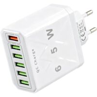 65W Chargeur USB Multiple, 6 Ports avec QC 3.0 et USB 3.1, Adaptateur Secteur Universel pour Samsung Galaxy iPhone17/16/15/14/13/12/11/SE iPad Huawei Pixel Charge Rapide et Sécurisée