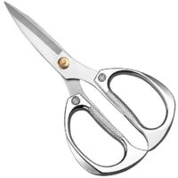 Indoor plant scissors and outdoor garden scissors, indoor plant scissors made of stainless steel, flower, herb and plant cutters, potted bonsai P