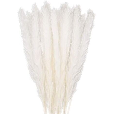 30 herbes de pampa, bouquet d'herbe de pampa naturelle de 40 cm, vase de fleurs séchées, décoration de style bohème blanc, chambre à coucher, salon, photographie de mariage, décoration de bureau