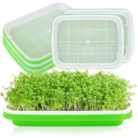 Germoir pour Ggraines à Germer,Lot de Plateau Semis,32.5x23.5x4.5cm,Plateau de Germination de Grande Capacité,pour la Plantation Germes Soja et Germes Haricot Mungo