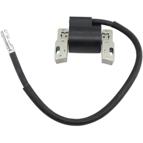 Nouveau Bobine d'allumage pour Briggs & Stratton 495859 491312 490586 492341 28C707 28D707 31G777 303447 303777 286702 286707 convient à l Head 10-13HP et Vanguard 9hp, 12.5hp et 14hp