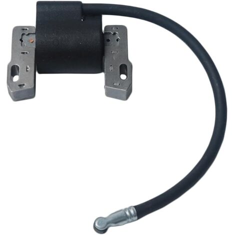 Remplacer la Bobine d'allumage pour Briggs & Stratton Magneto Armature 495859 491312 490586 492341 Nouveau (1/5)