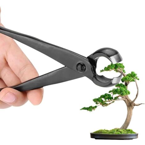 Pince Concave Bonsai, 21cm Ciseaux Bonsai avec Bord Arrondi, Branche Cutter pour Jardinage et Élagage de Précision (1/5)
