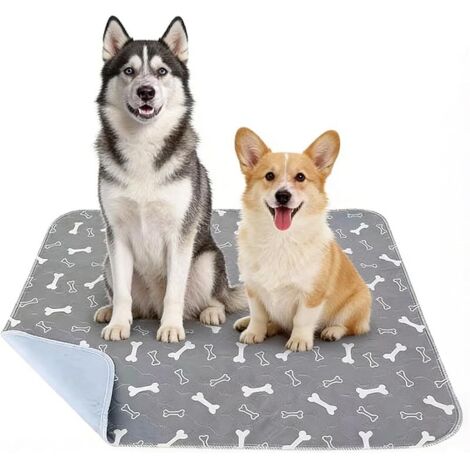 Tapis De Propreté Chien, Tapis Pipi Chien Lavable, Réutilisable, Antidérapant Et Etanche, Les Alèses pour Chien pour Tous Les Gabarits De Chats Et De Chiens(Gris)