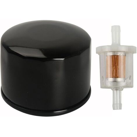 Filtre à carburant 691035 493629 avec filtre à huile 492932S 7045184 492056 Compatible with moteurs Briggs & Stratton (1/5)