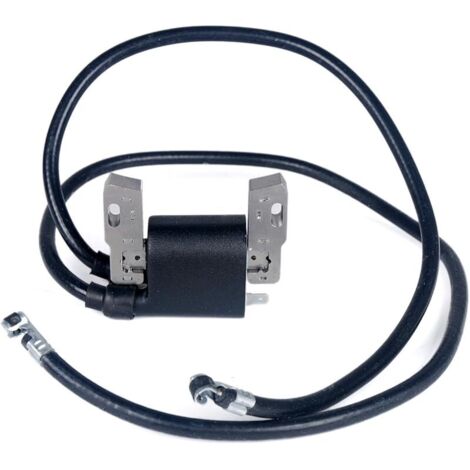 Compatible with la Bobine d'allumage Compatible with Briggs & Stratton Armature Magneto Design 42A707 42A777 422707 394891 392329 590781.