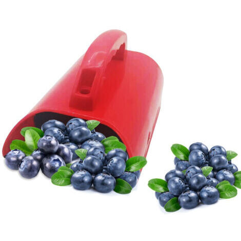 Outil Classeur Cerises - Outil De Récolte De Fruits Avec Poignée Ergonomique Et Peigne Râteau Bleuets Pour Récolte Fruits Feuilles Jardin Extérieur (1/5)