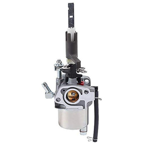 20001171 Carburateur ST224 921024 921028 921030 LCT 254cc Chasse-neige L15D (1/5)