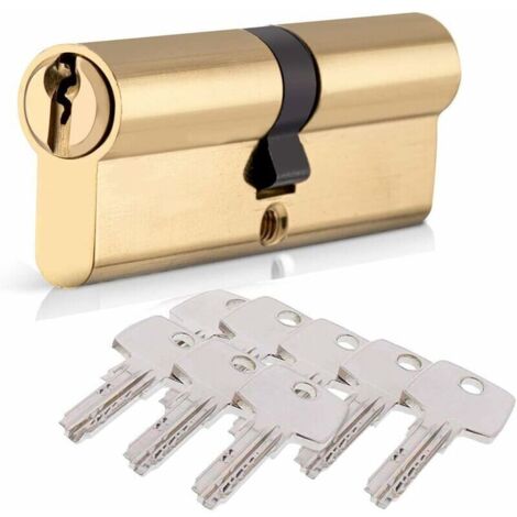 Cylindre de Serrure 40/40 (80mm), HOMEK Serrure à Doublé Cylindre Porte Cylindre Européen avec 8 Clés, Finition en Laiton, Serrure de Porte Antichoc Anti-Perçage Anti-Pique (1/5)