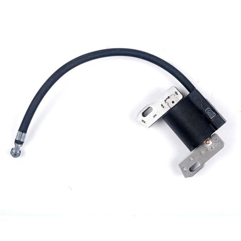 Bobine d'allumage électronique pour Briggs & Stratton 715231 799650 795315 690248 Armature