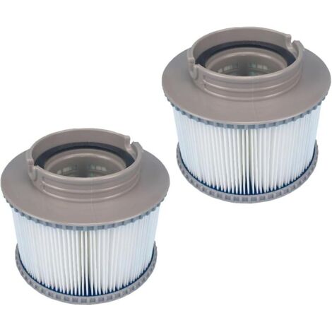 Cartouche filtrante de Rechange pour Spa Gonflable (2) (1/5)