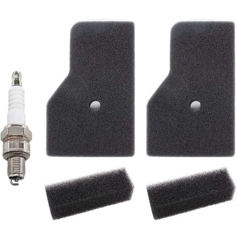Kit de Filtre à Air pour HONDA EU2200i EU2000i EU20i EU22i Generateur, 2 Filtres à Air et 2 Préfiltre et Bougie d'allumage Accessoires, Remplacer 17211-Z07-000 et 17218-Z07-000 (1/5)