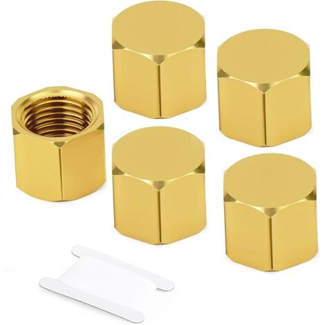 5 pièces 1/8"BSP Bouchon de Tuyau en Laiton, Raccord Bouchon Fille BSP avec Filetage Fémelle pour Extrémité de TuyauGO-482SS