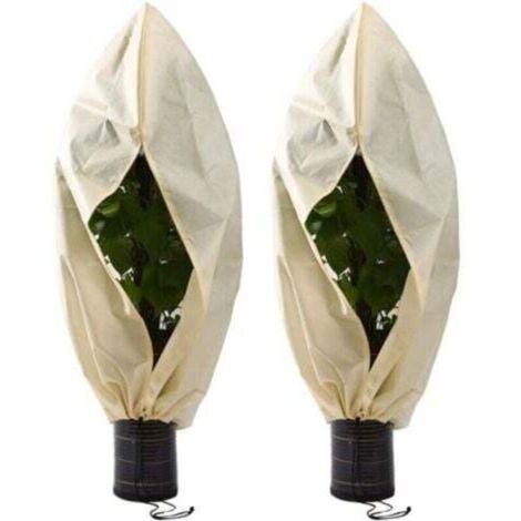 2 Pièces Housse Hivernage pour Plantes, Couverture d'hiver Végétale Non Tissée, Housse Hivernage Plante, Housse D'Hivernage, pour Tomates, Figuiers, Agrumes, Petits Arbustes60×80cm-- (1/4)