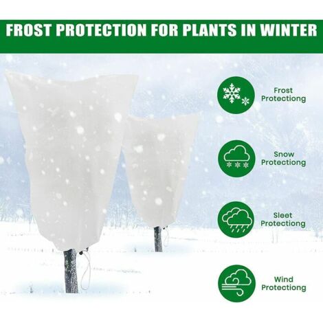 Voile Hivernage Plante, Lot de 2 Housse d'hivernage Plante, 80 x 120cm Housses de Protection pour Plantes contre le froid et le gel, 60g/m² bâche Protection Arbustes Couverture pour Plantes (1/3)