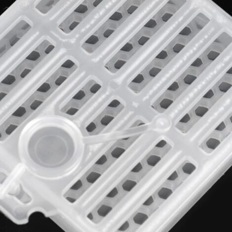 Lot de 5 Cage de Transport Reine des Abeilles, Cage Reine des Abeilles multifonctionnelle Essentielle Durable légère pour l'apiculture pour Apiculteur (1/3)