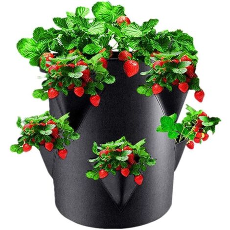 Upgrade Strawberry Grow Bags, Felt Strawberry Pot with 6 Side Grow Pocket, 7 Gallon Planting Pots, Non-Woven Fabric Breathable Portable for Strawberries Grow, Garden, Herbs, Flowers (1/4)