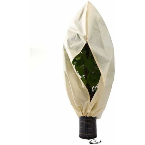 Housses pour plantes Housse hivernage pour Plantes, Housse hivernage pour Plantes, Housse d'hivernage Non tissée 140 g/m² Protection Contre Le Gel des Plantes en Palmier et Olivier (250x360cm),de DEB (1/4)