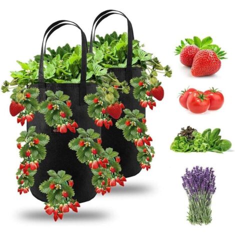 2pcs Sac de Plantation pour Fraise, Sacs de Culture à Fraises Suspendu Jardin avec 13 Trous, Sac de Plantation pour Fraises, Herbes, Tomates - 3 Gallons (2pcs - Noir)