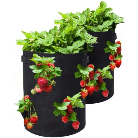 Sacs de Culture pour Fraise, 2PCS 43L/10 Gallons Sac de Legumes, Tissu Non-tissé Sac de Plantation avec Fenêtre, Sac de Legumes de Jardin (noire) (1/4)