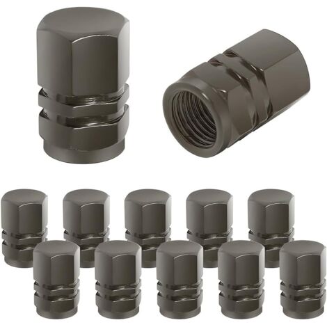 Bouchon Valve Pneu Voiture, 12 Pièces de Cache-poussière de Roue de Voiture en Aluminium, Imperméable et Anti-Résistant, Valve de Pneu Universelle pour Voitures, Camions, Motos (Gris) (1/5)