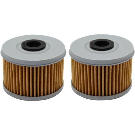 Filtre à huile pour XL125V XL125 V VARADERO 125 2001 2002 2003 2004 2005 2006 2007 2008 2009 2010/XL125V VARADERO DE LUXE 2011 (Lot de 2) (1/4)